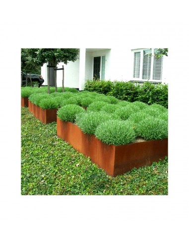 Bordures en acier corten