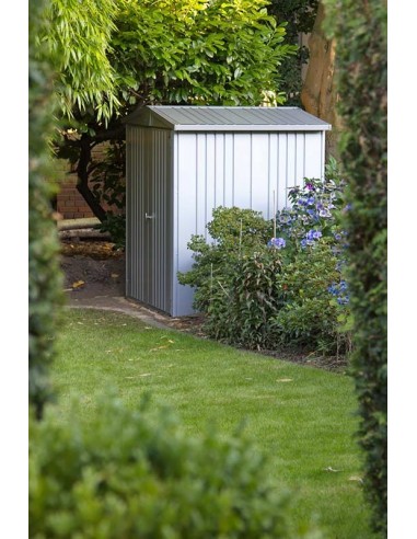 Abri de jardin en métal argenté