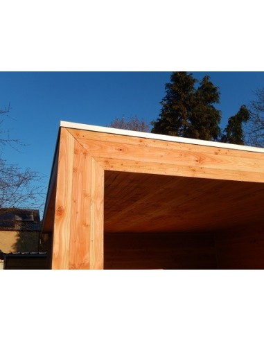 Poolhouse de jardin en Douglas