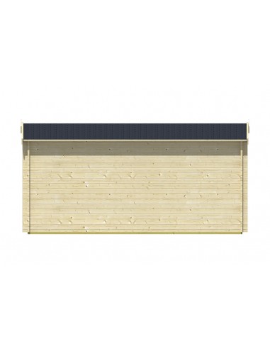 Abri de jardin avec double porte et double fenêtre vitrée