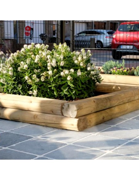 Bille de bois pour potager carré