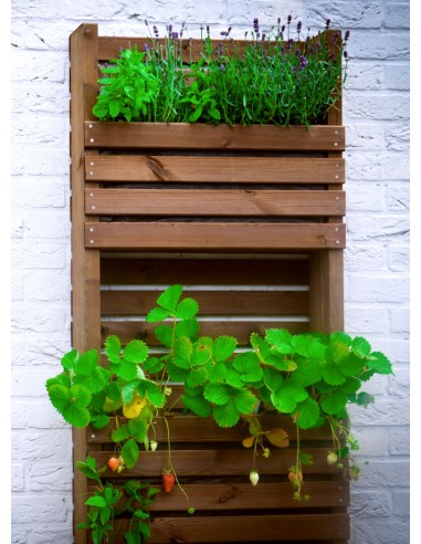 Bac pour herbes aromatiques