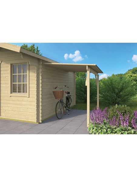 Grand auvent pour abri de jardin