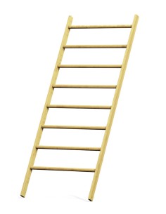 Espaliers 100 x 245 cm