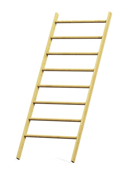 Espaliers 100 x 245 cm