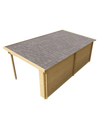 Abri de jardin contemporain