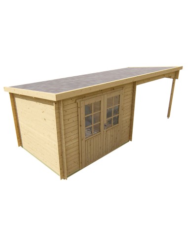 Abris de jardin à toit plat