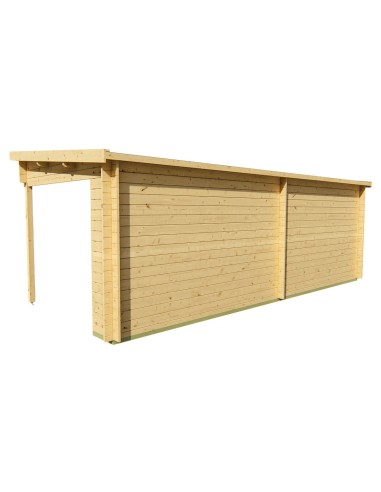 Abris de jardin à toit plat