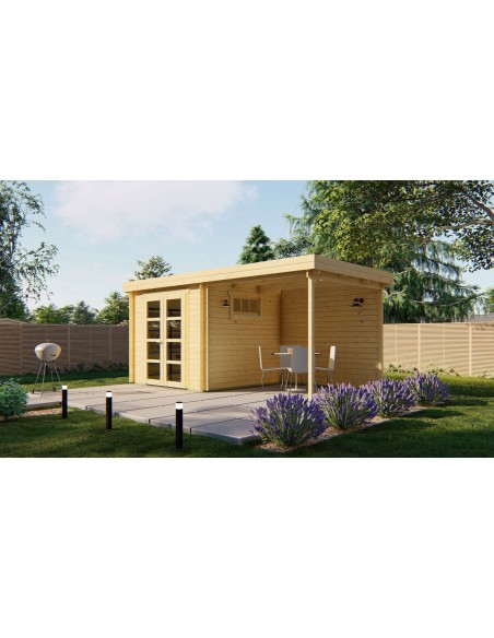 Cabane de jardin à toit plat