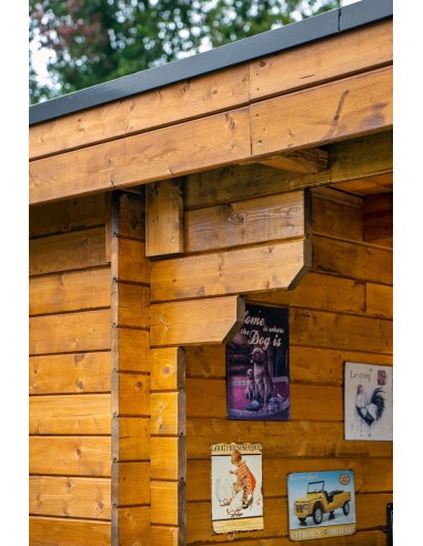 Platdak tuinhuisje met terrasgedeelte