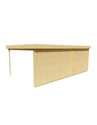 Abri de jardin toit plat avec espace terrasse