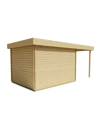 Abri de jardin toit plat avec auvent de côté gauche