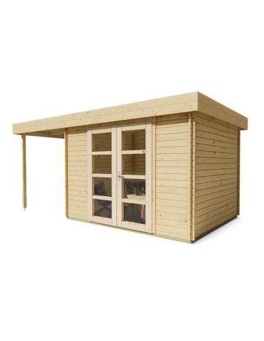 Abri de jardin toit plat avec auvent de côté gauche