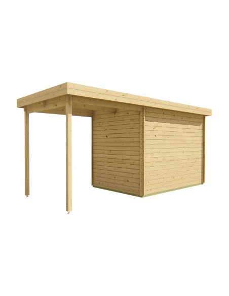 Abri de jardin toit plat avec auvent à droite