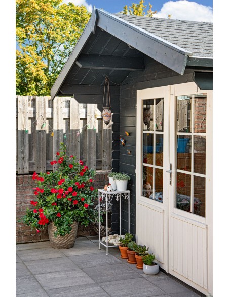 Joli cabanon de jardin avec double porte vitrée