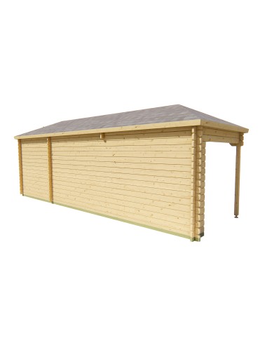 Abri de jardin en bois