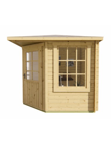 Abri de jardin en coin