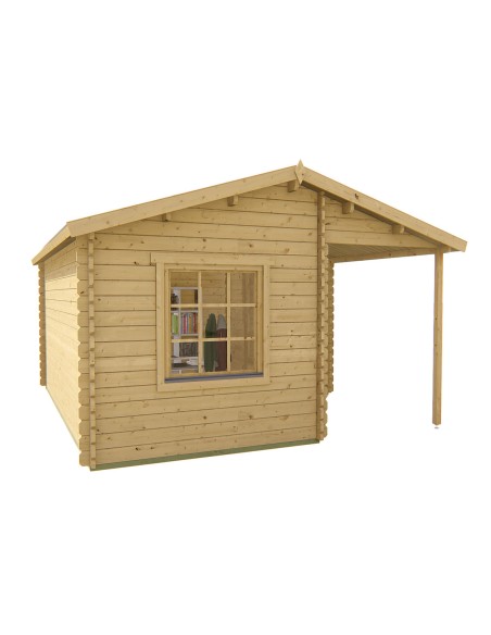 Abri de jardin avec auvent