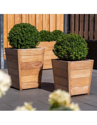 Bac à fleurs pour petits arbustes