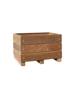 Olijf boom plantenbak 2