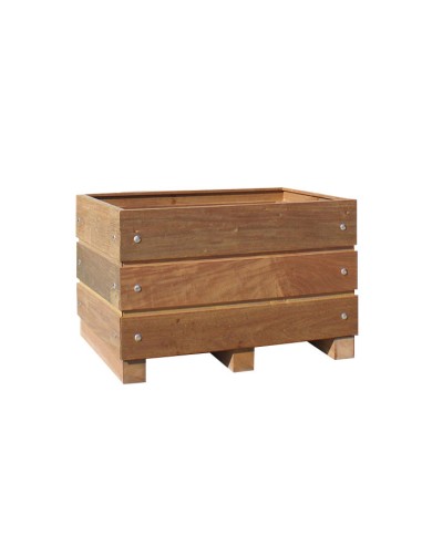 Olijf boom plantenbak