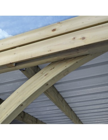 Carport met plat dak voor 2 auto's 6x5,5 meter