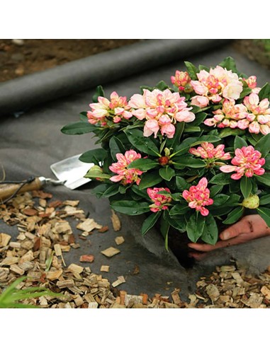Bâche anti-mauvaises herbes pour terrasse