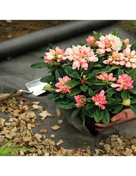Bâche anti-mauvaises herbes pour terrasse