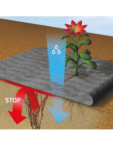 Bâche anti-mauvaises herbes pour terrasse