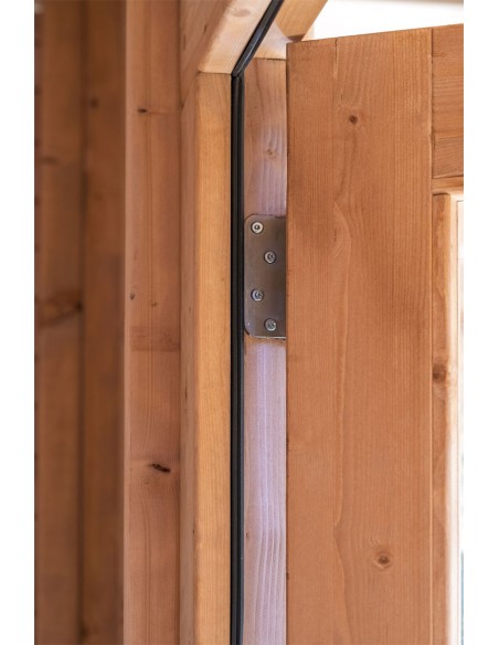 Porte vitrée pour abri de jardin