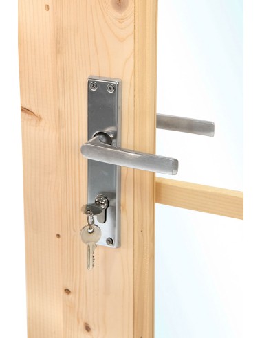 Porte vitrée pour abri de jardin en pin