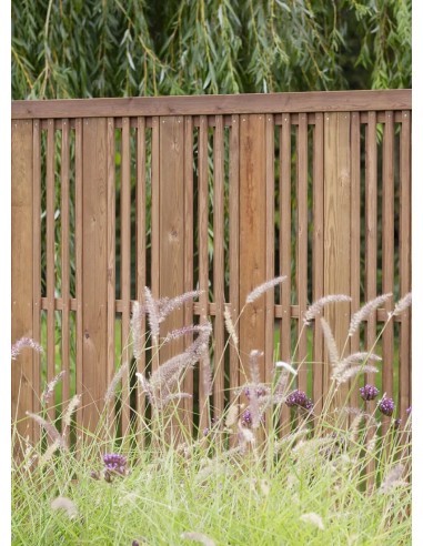 Veelzijdige Noordse Rode Pijnboom Tuinscherm