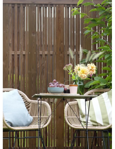 Veelzijdige Noordse Rode Pijnboom Tuinscherm