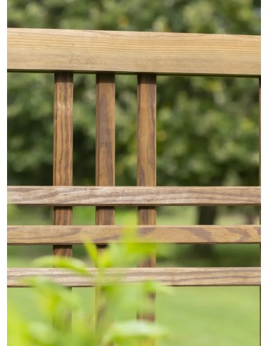 Treillis "Trio" pour Plantes Grimpantes