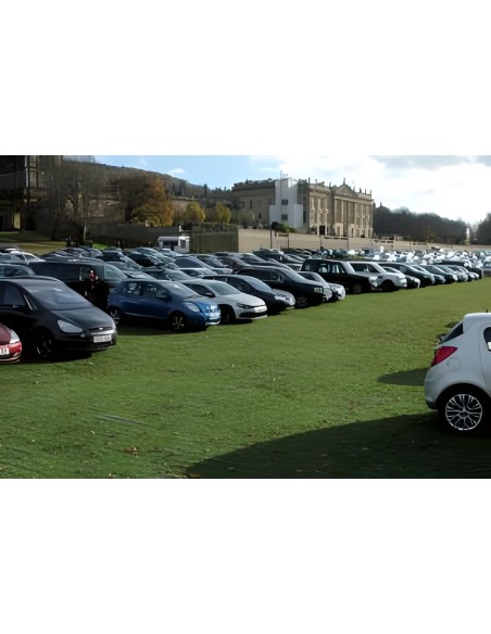 TerraWeb-Strong - gaas voor gazons en waterdoorlatende bestrating