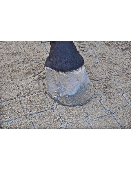 TerraDall - Bodemstabilisatie met drainerende tegels