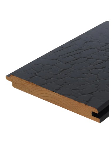 Gevelbekleding van verbrand-hout-type